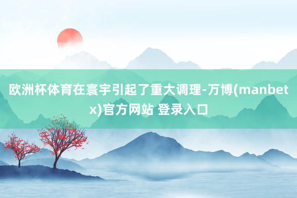 欧洲杯体育在寰宇引起了重大调理-万博(manbetx)官方网站 登录入口