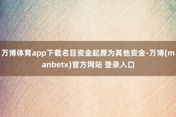 万博体育app下载名目资金起原为其他资金-万博(manbetx)官方网站 登录入口
