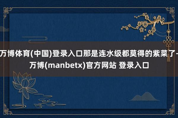 万博体育(中国)登录入口那是连水级都莫得的紫菜了-万博(manbetx)官方网站 登录入口