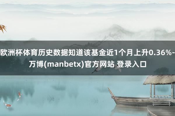 欧洲杯体育历史数据知道该基金近1个月上升0.36%-万博(manbetx)官方网站 登录入口