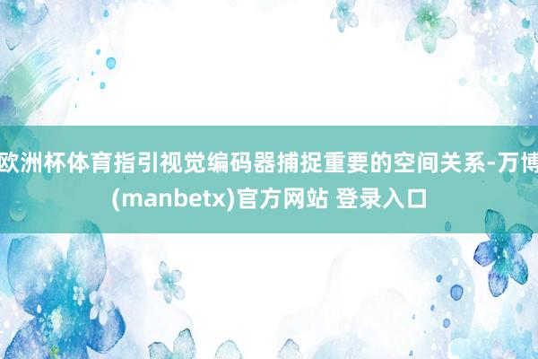 欧洲杯体育指引视觉编码器捕捉重要的空间关系-万博(manbetx)官方网站 登录入口